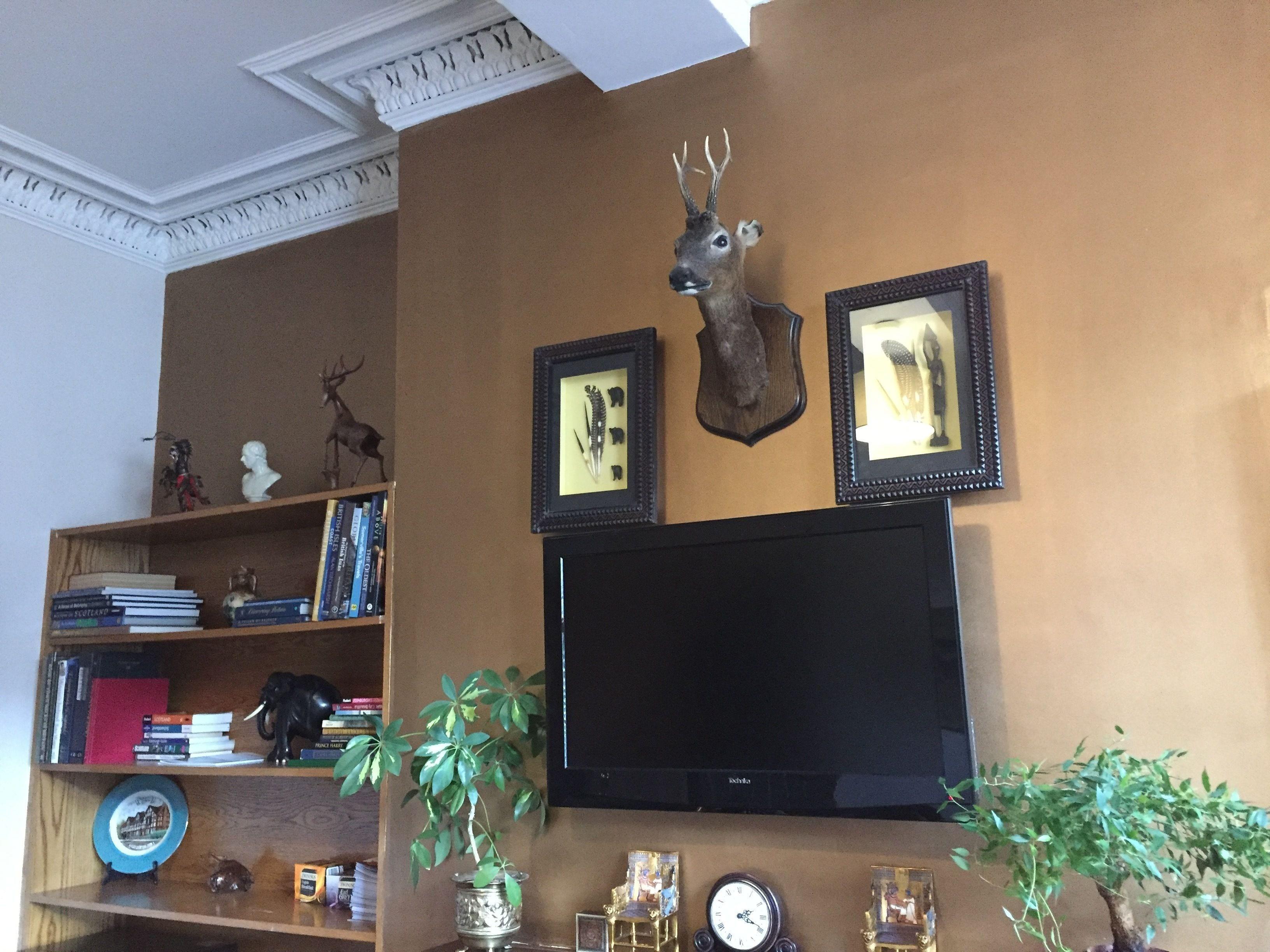Cambridge House — Foto 1